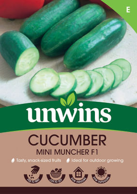 Cucumber Mini Muncher F1 thumbnail 2