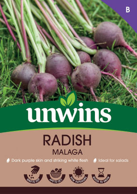 Radish Malaga thumbnail 2