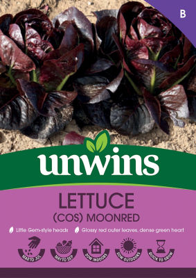 Lettuce (Cos) Moonred