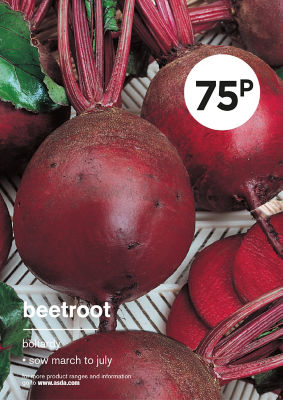 Grow Your Own Beetroot Vegetable Seeds