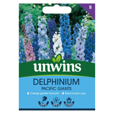 Delphinium Pacific Giants thumbnail 2