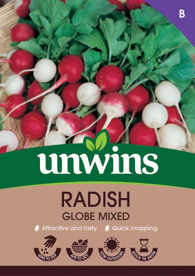 Radish Globe Mixed thumbnail 2