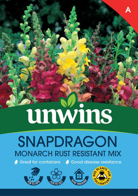 Snapdragon Monarch thumbnail 2