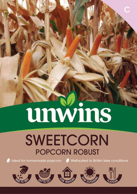 Sweetcorn Popcorn Robust thumbnail 2