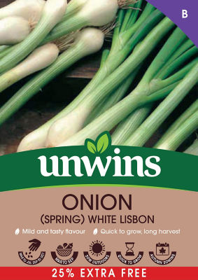 Onion Spring White Lisbon Seeds 25% Extra Free thumbnail 2
