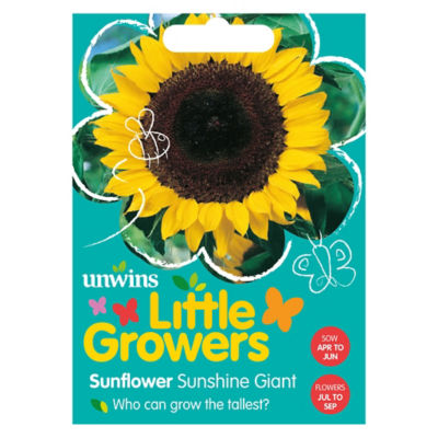 Sunflower Sunshine Giant thumbnail 2