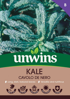Kale Cavolo De Nero thumbnail 2