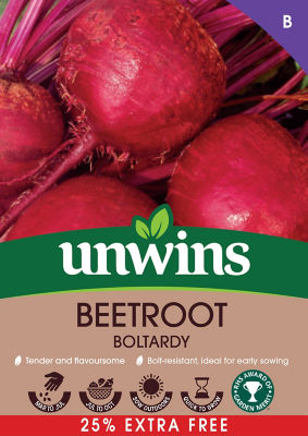 Beetroot Boltardy Seeds 25% Extra Free