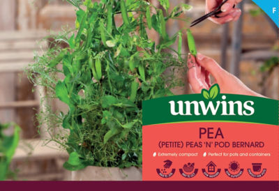 Peas ‘N’ Pod Bernard thumbnail 2