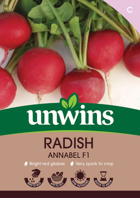 Radish Annabel F1 thumbnail 2