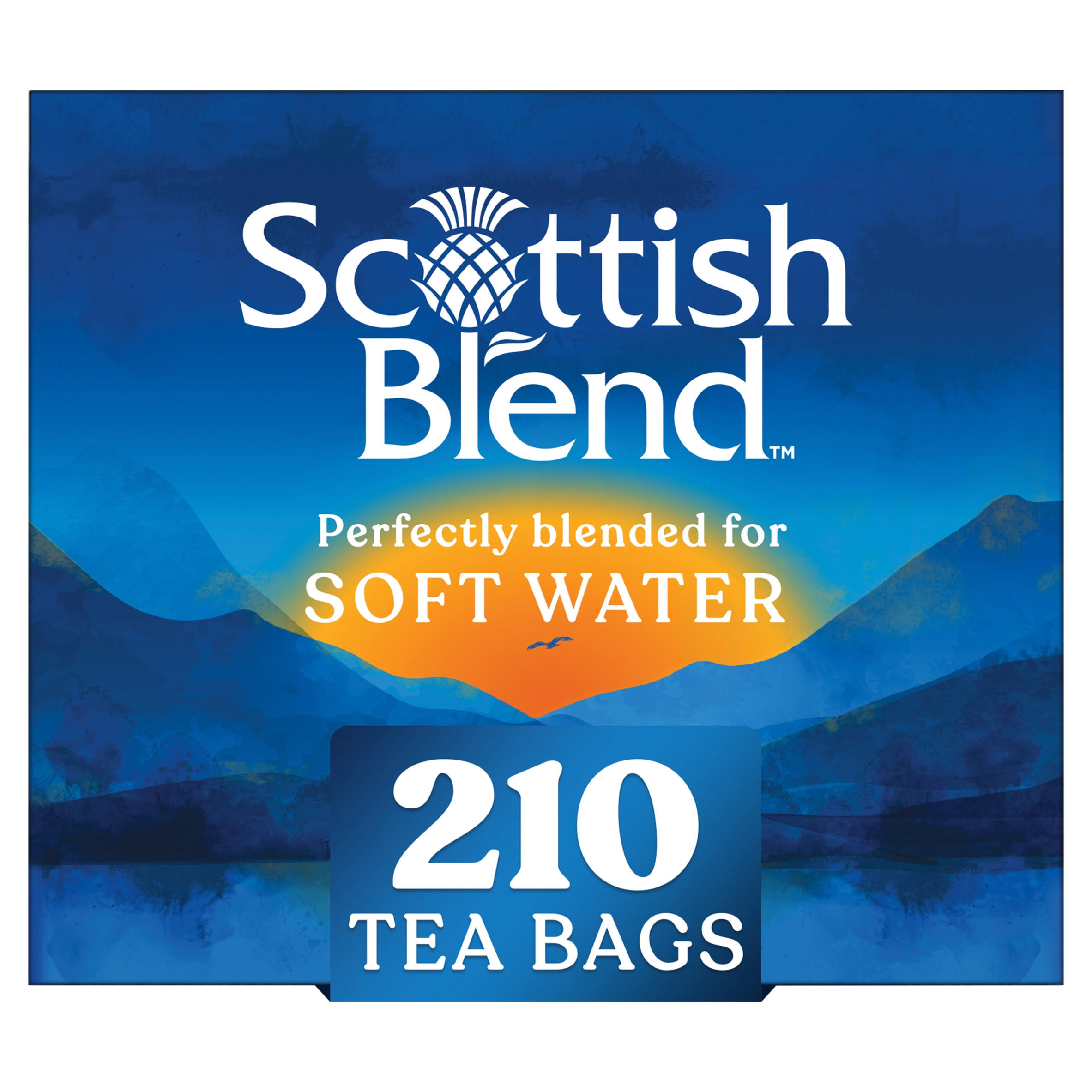 Scottish Blend 210 Tea Bags 609g