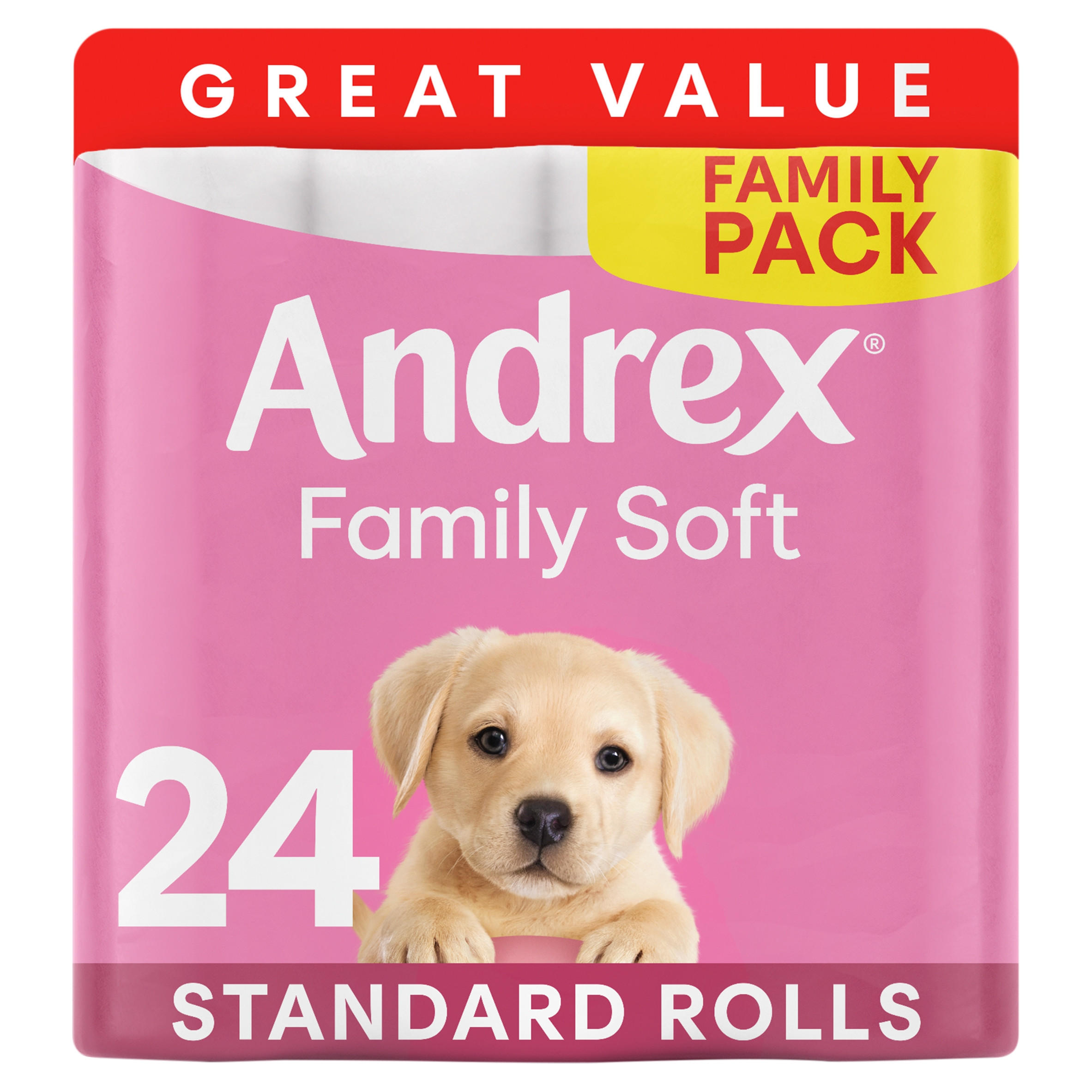 Andrex Family Soft Toilet Tissue 24 Rolls