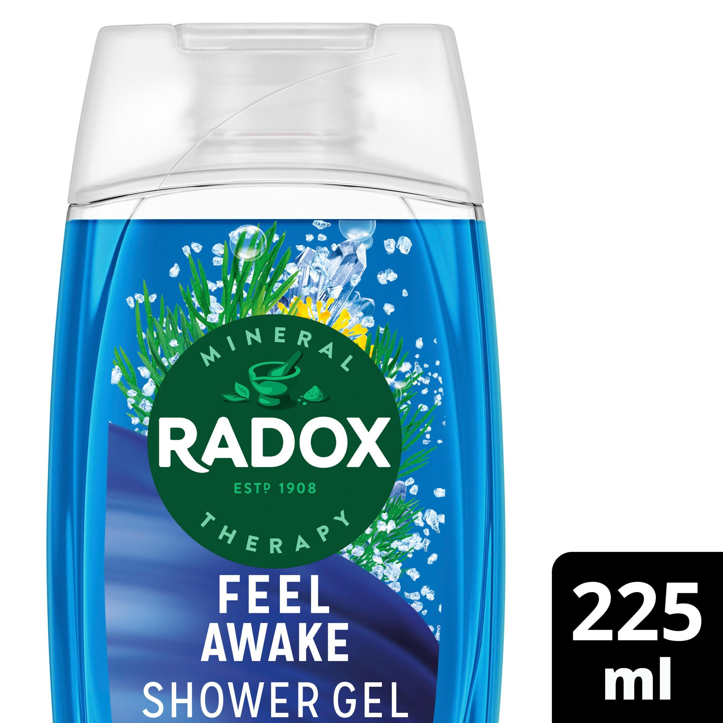 Radox Mineral Therapy Feel Awake 2-in-1 Shower Gel & Shampoo 225 ml