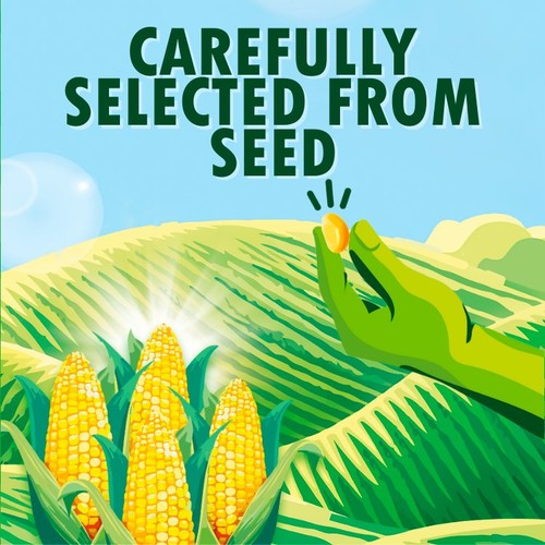 Green Giant Salt Free Sweetcorn (4x198g) thumbnail 6
