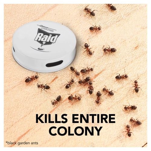 Raid Ant Bait Station thumbnail 4
