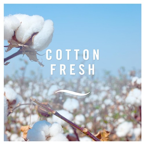 Febreze Cotton Fresh Car Clip Air Freshener  thumbnail 3