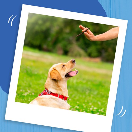 Bakers Rewards Chicken, Beef And Lamb Dog Treats thumbnail 4