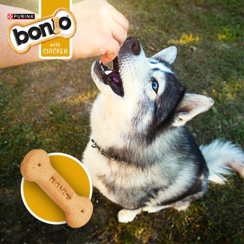 Bonio Chicken Dog Biscuits thumbnail 3