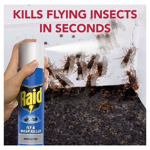 Raid Fly & Wasp Killer thumbnail 4