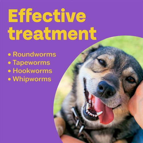 Bob Martin Clear 3 In 1 Wormer Tablets for Dogs 4PK thumbnail 2