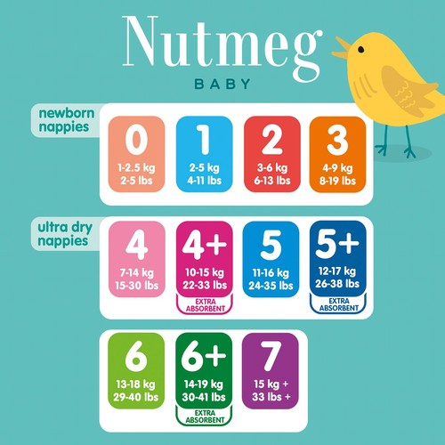 Nutmeg Ultra Dry Nappies Size 5 x 40 Pack thumbnail 5