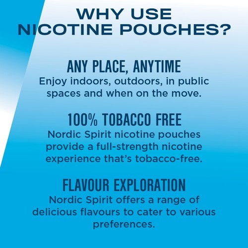 Nordic Spirit Mint Strong Nicotine Pouches
