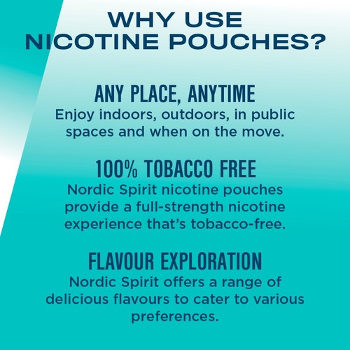 Nordic Spirit Spearmint Extra Strong 20 Nicotine Pouches thumbnail 4