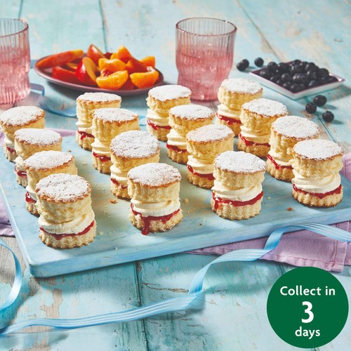 Raspberry Mini Sponge Sharing Platter (16 Pieces) FTO