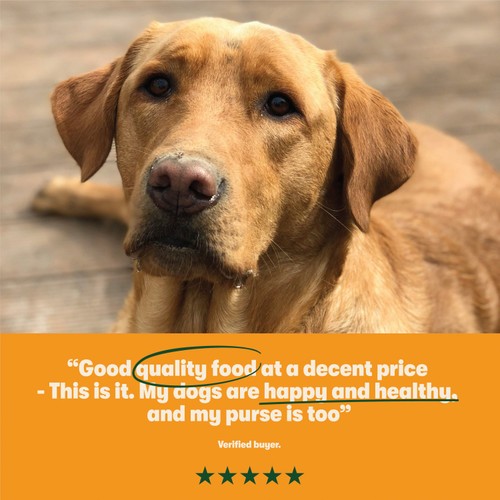 Harringtons Dry Adult Dog Food Rich in Turkey & Veg  thumbnail 5