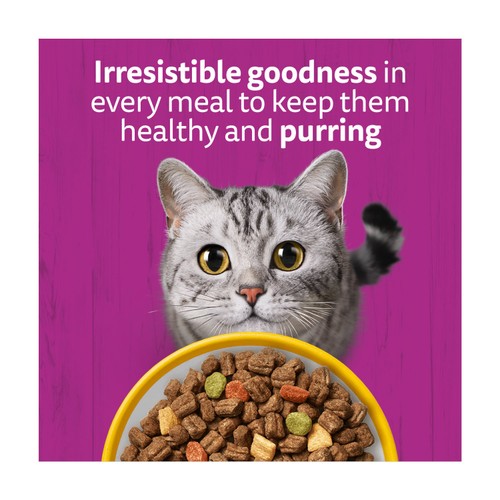 Whiskas Senior 7+ Dry Cat Food In Chicken thumbnail 3
