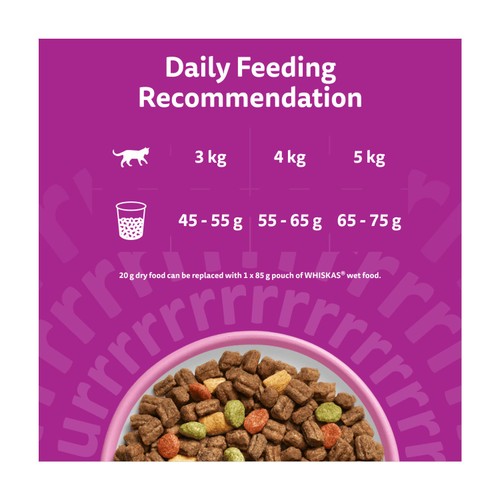 Whiskas 1+ Salmon Adult Dry Cat Food thumbnail 4