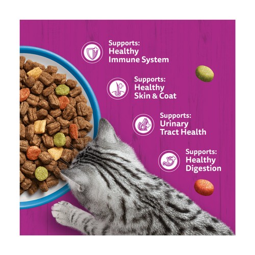 Whiskas 1+ Tuna Adult Dry Cat Food thumbnail 3