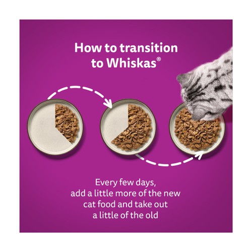 Whiskas Senior 7+ Poultry Feasts Pouches in Jelly 80x85g thumbnail 5