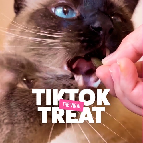 Bonkers Salmon Supreme Flavour Cat Treats thumbnail 4