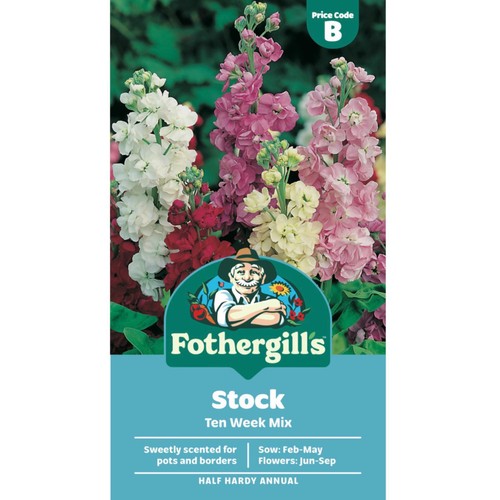 Mr Fothergills Stock Ten Week Mixed Seeds