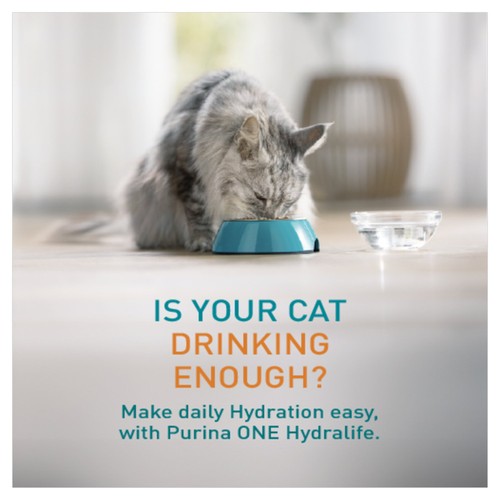 PURINA ONE HYDRALIFE with Chicken Liquid Cat Supplement 6x50g thumbnail 2