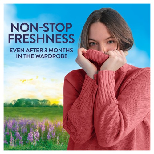 Lenor In-Wash Scent Booster First Day Of Spring  thumbnail 2