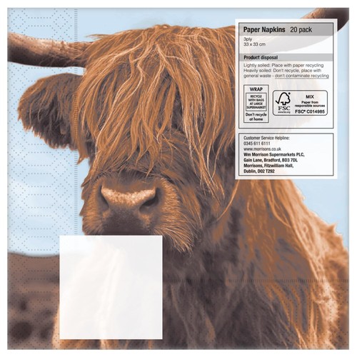 Nutmeg Highland Cow Napkins 20 Pack thumbnail 2