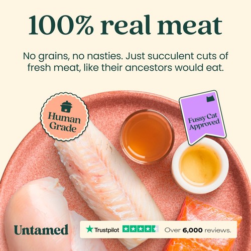 Untamed Fish Selection Box In Jelly Cat Food 6 x 75g thumbnail 5