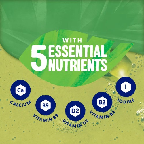 Alpro Drink Matcha Coconut 1L thumbnail 2