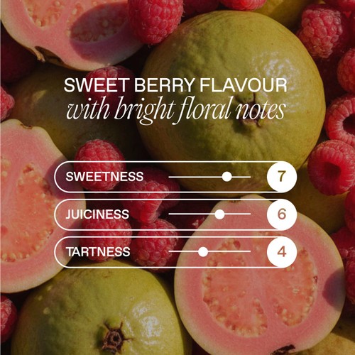 Goodrays CBD Infused Sparkling Raspberry & Guava thumbnail 4
