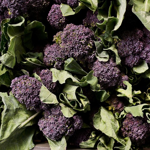Natoora British Purple Sprouting Broccoli thumbnail 3