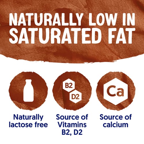 Alpro Chocolate Soya Long Life Dairy Free Drink thumbnail 3