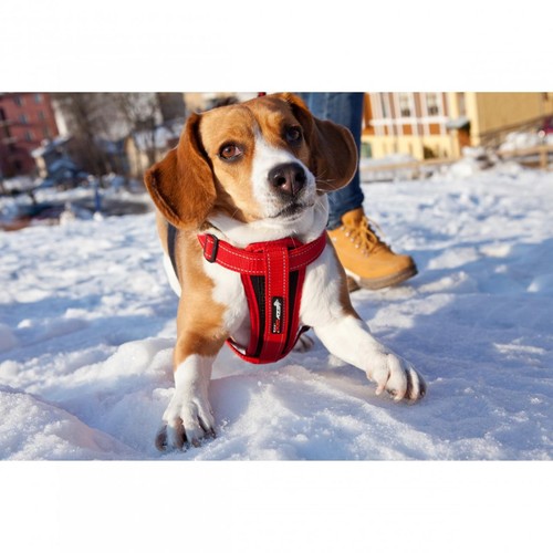 EzyDog Chest Plate Black Dog Harness Large thumbnail 3