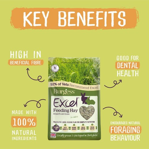 Burgess Excel Feeding Hay Dried Fresh Grass thumbnail 4