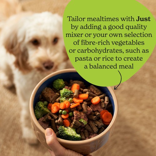 Forthglade Complementary Grain Free Wet Dog Food Just 90% Lamb thumbnail 7