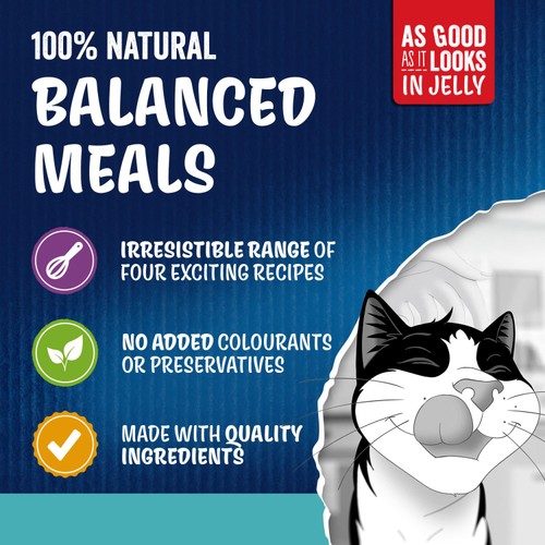Felix As Good As it Looks Ocean Feasts in Jelly Wet Cat Food thumbnail 3