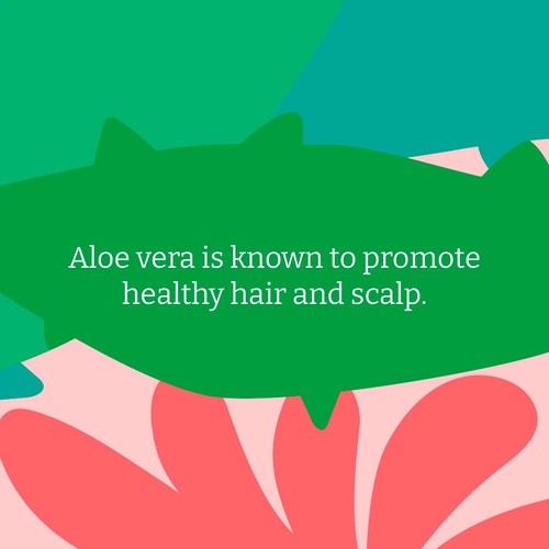 Faith in Nature Aloe Vera Conditioner thumbnail 9