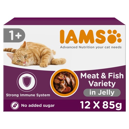 Iams Delights Adult Land & Sea Collection in Jelly Multipack
