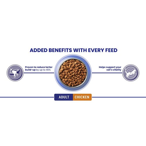 Purina One Chicken Dry Cat Food thumbnail 8